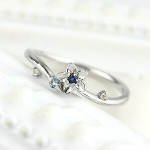 PT900 Tt@CA t[ v`i O w  VR ANA} u[gp[Y  킢 fB[XANZT[ Women's Jewelry Ladies 蕨 v`iO אg ig f