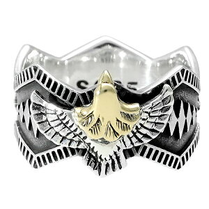 C[O Vo[ O 17  h  Vo[925 w  lCeBu AJ CfBA ANZ WG[ p 蕨 Vo[ANZT[ Vo[O MUMU X^C