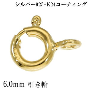   6mm K24 S[hR[eBO Vo[925 1 o ֋ qL Vv Vo[ANZ JX^p[c p[c ANZT[ 24 lC Ghp[c JX^ N