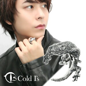 Cold I's cMI~Jh  O 15`19 Vo[925 w Vo[ANZT[ WCAgQbR[   v[g j w O Vo[925 uh a gJ