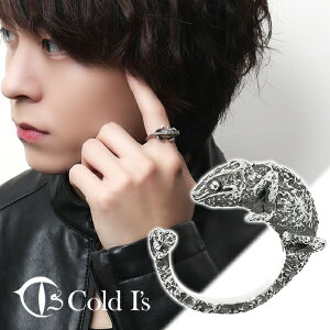 Cold I's pT[JI  O 10`25 Vo[925 w Vo[ANZT[ JI fB[X A ގ A v Vo[925 ͒  v[g j LO 