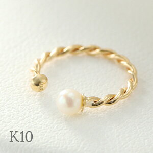 Vv 肰Ȃ p[ S[h [v C[Jt 1P Ўp K10S[h 10 ^  i ؚ mz[sAX  K10 p[ ޏ Wp[ l킢 [v  l