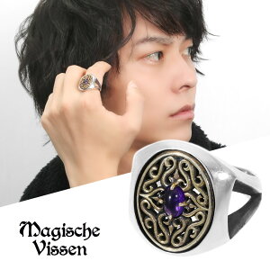 }WFXtBbZ Iׂ14 Xg[ _I O 15`25 w Vo[925 a VR Vissen YO uh  VR v a Vo[O SVbN j