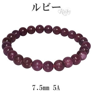 r[ 5A O[h uXbg 7.5mm 17`18cm M`L TCY a 7 VR p[Xg[ Y r[ uXbg VR p[Xg[ 7 a Y fB[X ԐFтт