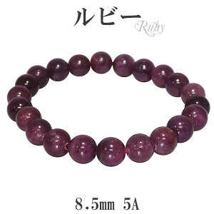 r[ 5A O[h uXbg 8.5mm 17`18cm M`L TCY a 7 VR p[Xg[ Y r[ uXbg VR p[Xg[ 7 a Y fB[X ԐFтт