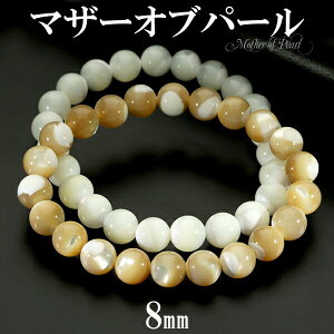 }U[Iup[ uXbg 8mm 16`17.5cm S`L TCY VR p[Xg[ fB[X  VR΃ANZT[ VR΃uXbg p[Xg[uXbg uXbg V