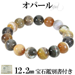 �V�R �I�p�[�� �G�`�I�s�A�Y �u���X���b�g ��Ίӕʏ� �t�� 12.2mm 18.5cm �����YL ���f�B�[�XLL �T�C�Y �V�R�΃A�N�Z�T���[ �V�R�΃u���X���b�g �p���[�X�g�[���u���X���b�g ����u���X���b�g 