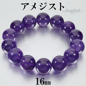AWXg EOACY uXbg  16mm 19.5cm YL fB[XLL TCY 2 uX fB[X r j  VR΃uXbg  EOAC p[Xg[uXb