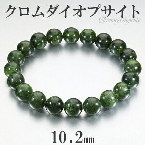 N_CIvTCg uXbg 10.2mm 18.5cm YL fB[XLL TCY VR p[Xg[ _CIvTCg j  N _CIvTCguXbg  fB[X Y 