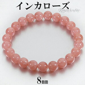 CJ[Y [hNTCg i uXbg 8mm 17cm fB[XM TCY VR p[Xg[ [hNTCguXbg  CJ[Y͖͂oAM