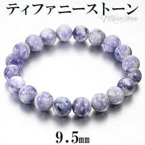 eBt@j[Xg[ uXbg 9.5mm 17.5cm YM fB[XL TCY VR p[Xg[ Y eBt@j[Xg[uXbg p[v  fB[X v[g ACXN