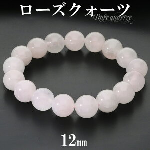 [YNH[c uXbg 12mm 17.5`18.5cm M`LLTCY VR p[Xg[ [YNI[c fB[X  r  sN F ^ [YNH[cuXbg p[Xg[