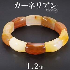 J[lA oO uXbg 1.2cm 18.5cm YL fB[XLL TCY a 7 VR p[Xg[JZhj[ Y fB[X r IW bh  J[lAu