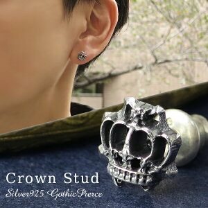 SVbN NE X^bhsAX 1P Ўp Vo[925  n[h  sAX X^bYsAX YANZT[ YWG[ YsAX fB[XANZT[ fB