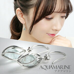 ANA} Vo[ sAX    XN[ P[W 2P p a VR l ꂢ tbNsAX l v[g LO ꂢ 킢 3̒a ANA