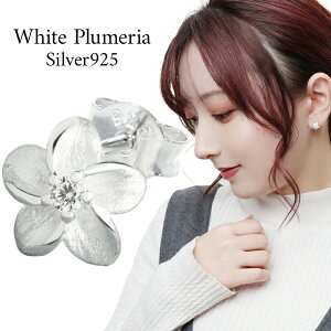 vA sAX Vo[sAX 1P Ўp nCA nCAWG[ Vo[ fB[XsAX fB[X p  WRjA psAX v[g lC 킢 