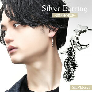 V[z[X Vo[sAX 1P Ўp Y fB[X ^cmIgVS  C Vo[925 Vo[ANZT[ Vo[ANZ Y fB[X jZbNX X^bYsAX seadragon 