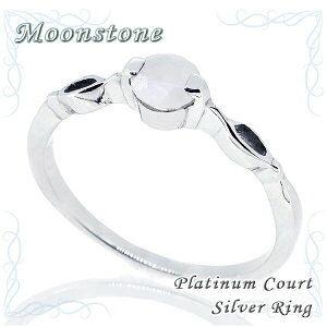 6 a [Xg[ v`iR[g Vo[O 7`13 MtgBOXt Vo[ fB[X fB[X 6̒a [Xg[ O Vo[ v`iR[g _I