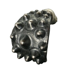   sAXij 1P Ўp  Y Vo[ Vo[sAX t[vsAX uhsAX YsAX Vo[950 sAX  ގ lC Vo[ANZT[ `Z@ 