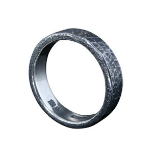  ĖڒȖ O 4`27 w Y Vo[ Vo[O YO Vo[950 `Z@ Ȗ Mtg Ɩ ގ j lC uh 