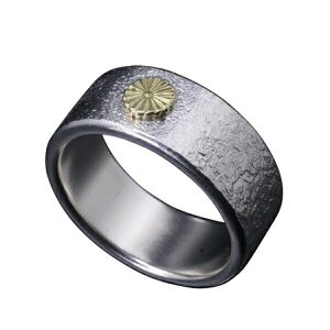   e ł O 12`27 w  Y Vo[ `Z@ Vo[O YO uh w/OF{̕𑸂ԋeԖ̓Vo[OBTCYWJLx