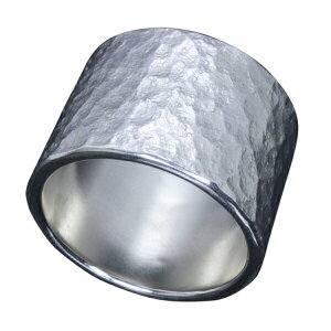  ΊےȖ O 17mm 20`30 w Y Vo[ Vo[O YO Mtg Vo[950 Ɩ j Ȗ  ގ lC `Z@ uh