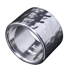  ےȖ O 17mm 20`30 w Y Vo[ Vo[O YO Ȗ  `Z@ ގ Vo[950 Ɩ uh j lC Mtg