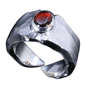  K[lbg ΖK O 17`26 w VR Y Vo[ Vo[O Vo[950 ގ `Z@ ̗lɐ^邪RZvg̖KANZT[ lC uh 