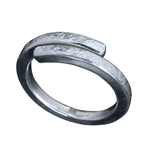  ΊےȖ O 11`25 w Y Vo[ Vo[O YO Vo[950 d˕t\:EɈ̃tnhChVo[O ގ LTCYWJȂ̂