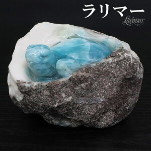 }[ T   974g VR p[Xg[ q[O Xg[ u CeA 蒤 N VR΃ANZT[ VR΃[X p[Xg[  VR }[ Ĉ悤