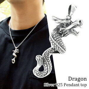 藴 Vo[ y_ggbv (`F[Ȃ) lbNXgbv 傫 傫 Vo[925 Y  Vo[ANZT[ Vo[ANZ Vo[y_ggbv y_gwb