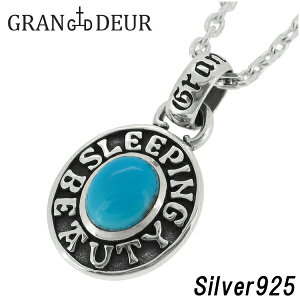 GRAN DEUR ^[RCY Vo[y_ggbv `F[Ȃ X[sOr[eB gR wbh Vo[ANZT[ Vo[ANZ Vo[y_g YANZ n[h 