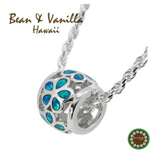 nCAWG[ vA VZeBbNIp[ Vo[lbNX nCA uh nCAWG[ O lbNX fB[X vA  Vo[ zI