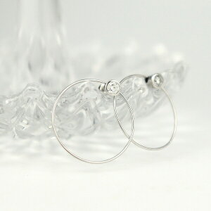 PT900 _Ch t[v sAX 2P p v`isAX X^bhsAX  ւ Vv i 0.1Jbg 0.2Jbg fB[XANZT[ Women's Jewelry Ladies 蕨 v`isAX