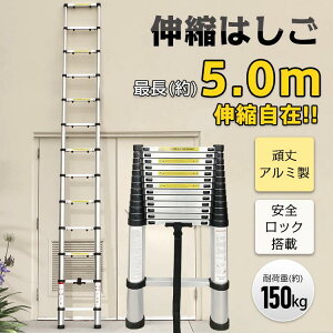 スーパーラダー」の人気商品一覧・価格比較 - 価格.com