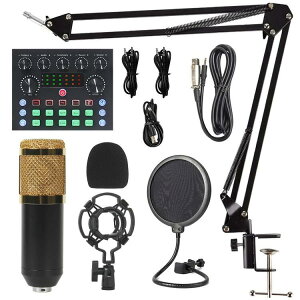 �R���f���T�[�}�C�N �}�C�N USB �P��w���� ������ �A�[�� �Z�b�g ���h ��� �}�C�N �m�Y���y�� �z�M�p�~�L�T�[ �z�M�p�}�C�N Windows Mac �Ή� �Q�[������ �z�M ������ �^�� ��c �e�����[�N �J