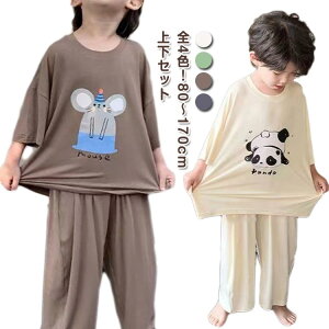 [EFA LbY  pW} ㉺Zbg   j̎q ̎q [EFA ZbgAbv  tVc Opc 2_