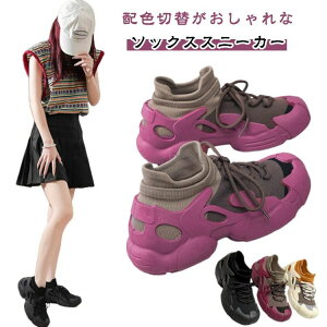 fB[X ^ [Jbg ɂȂ EH[LOV[Y C jbgXj[J[ \bNXXj[J[ JWA 