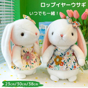 ETM̂ʂ  Aj} ӂӂ e Ԃ xr[ LbY q 킢 ӂӂ  x ᡉK CeA t@