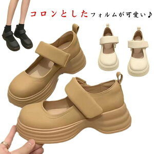 V[Y V[Y 5.5cmq[ hXV[Y fB[X V[Y EhgD pvX C  Xgbv K[[ 