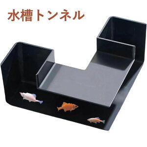 gl B R[i[^ A ANAEANZT[  Gr   Jj x^̓A Vя xe vX