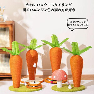 L ܌ L܌|[ ɂ񂶂܂Ƃ L̂ L߂Ƃ XNb`|[ lQ cu^   gݗĊȒP  CeA VRTCU