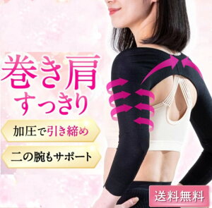  ̘rVFCp[ T|[^[ StEFA fB[X StKp Lw p p St Lw  A[Jo[ ̘rVFCp[ ̘rT|[^[ 2J[ ₦