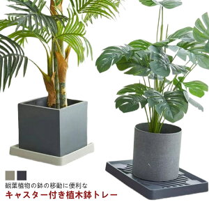 u LX^[t K[fjO gC  lp v[g v^[ v^[X^h Aؔg[  v^[x[X ϗtA 󂯎M ړ  A rO I