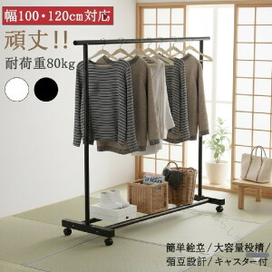 �p�C�v�n���K�[���b�N ��100 120 150cm �Ɩ��p�� �ω׏d80kg �h�K���b�L���H �I�t�� �L���X�^�[�t�� �R�[�g�n���K�[ �ߗގ��[ �ȃX�y�[�X ������� ���݌v ���ϋv�^�C�v