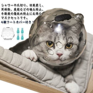  e ʋC | ybg}XN Lp}XN  4t[gJo[t L GUxXJ[ ʋC lR Lbg}Y ܐ؂