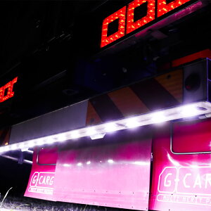 }[J[ V[V}[J[ TCh}[J[ zCg 100s[X  24V Ɠ H ėp LED 2g 4g 8g 10g gbN ^C ג ėpi _ECg v U  OH 