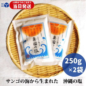 【月間優良ショップ受賞店】 粟国の塩 250g ×2袋 釜炊 沖縄 塩 粟国塩 粟國の塩 沖縄 海塩 粟国島 自然海塩