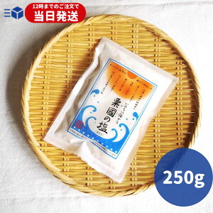 y}\100~OFFN[|zzz ̉ 250g     ̉  C  RC