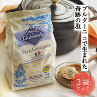 ゲランドの塩 1kg 顆粒 3袋セット ギフト ゲランド 塩 フランス 食塩 海塩 調味料 Sel de Guerande アク…